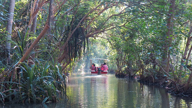 Boat ride through mangroves