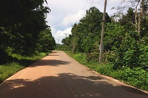 Koh Lanta Forested Road